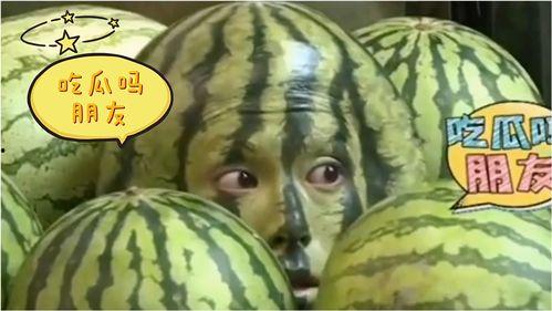 娱乐吃瓜地,吃瓜群众背后的故事  第1张