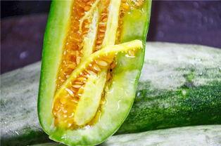 吃大瓜的网红,揭秘娱乐圈幕后真相  第2张