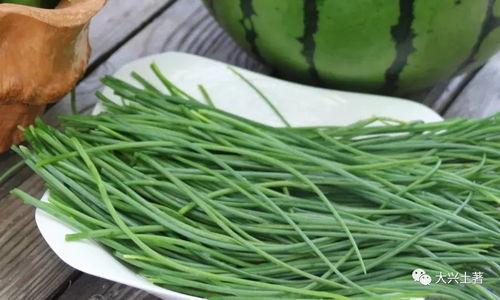 网红吃瓜大集合图片,一场视觉盛宴的狂欢时刻 第2张 网红吃瓜大集合图片,一场视觉盛宴的狂欢时刻 第2张